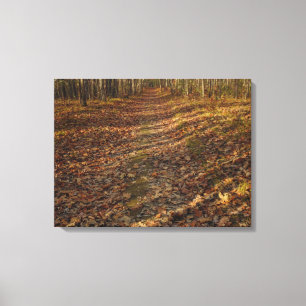 Herfst verlaat kunst aan de muur canvas afdruk