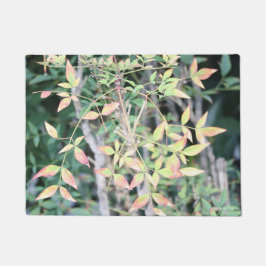 Herfst voor je deurmat