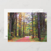 herfst walkway.jpg briefkaart (Voorkant / Achterkant)