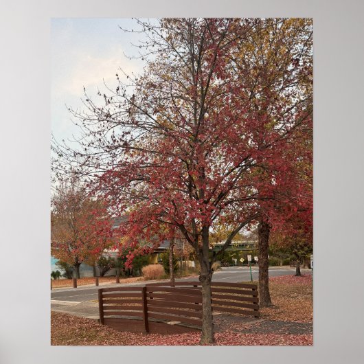 Herfst Wandelbrug Poster (Voorkant)