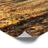 Herfst Wandelpad Poster (Hoek)