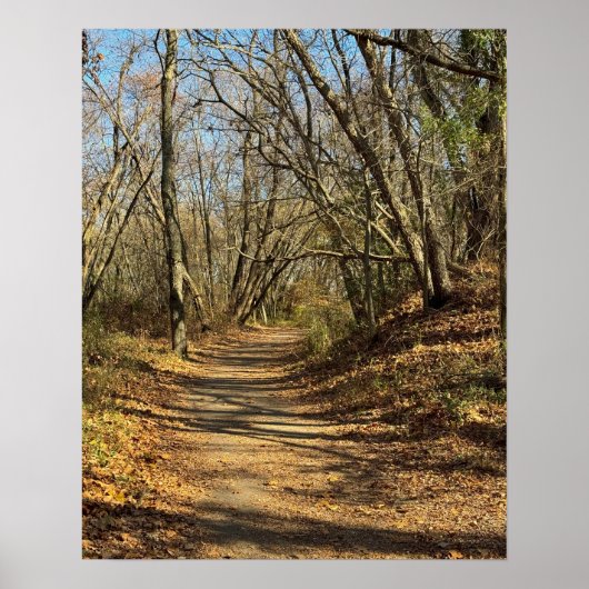 Herfst Wandelpad Poster (Voorkant)