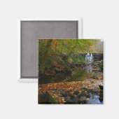 Herfst Waterfall en Creek Pennsylvania Natuur Magneet (Voorkant / Achterkant)