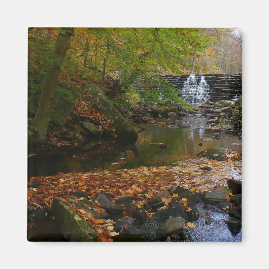 Herfst Waterfall en Creek Pennsylvania Natuur Magneet (Voorkant)