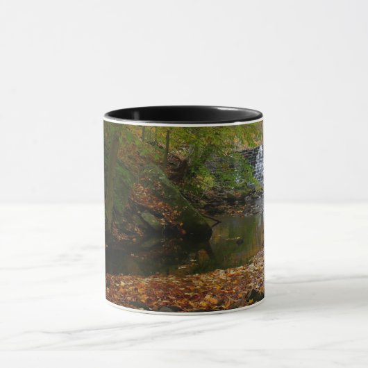 Herfst Waterfall en Creek Pennsylvania Natuur Mok (Midden)