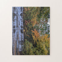 Herfst Waterfall Puzzle