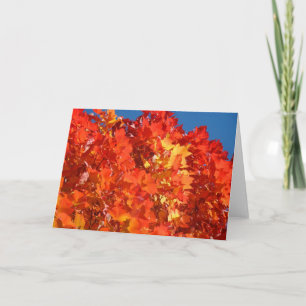 Herfst Wenskaarten Helder Oranje Wenskaarten Feestdagen Kaart