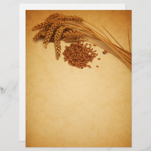  herfst Wheat Corn - Letterhead Stationery (Voorkant / Achterkant)