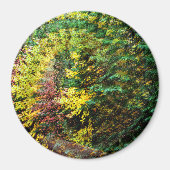 Herfst Whirlwind...... Magneet (Voorkant)