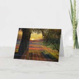  Herfst Wijn Wijnbouw Wijnwergblank Kaart