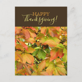 Herfst wilde wijnstok bladeren Happy Thanksgiving Feestdagenkaart
