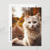 HERFST witte kat BRIEFKAARTEN (Voorkant / Achterkant)