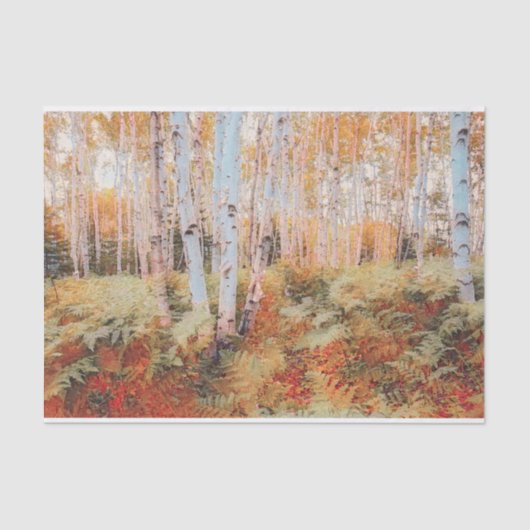 Herfst Woodland Fern Forest Birch Trees Tissuepapier (Voorkant)