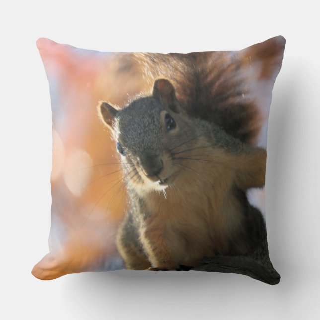 Herfst zon kussen (Voorkant)