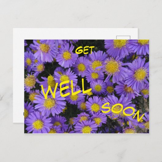 Herfstaster Kaart. Beterschap Wenskaart Briefkaart (Voorkant / Achterkant)