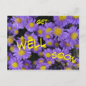 Herfstaster Kaart. Beterschap Wenskaart Briefkaart (Voorkant)