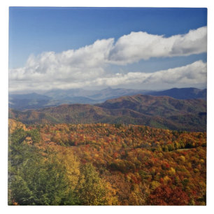 Herfstbeeld van de Zuidelijke Appalachen Tegeltje