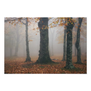 Herfstbeeld van nevelig bos, Grandfather 2 Foto Afdruk