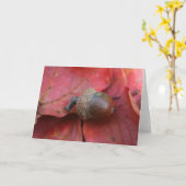 HERFSTBELOFTE KAART (Gele Bloem)