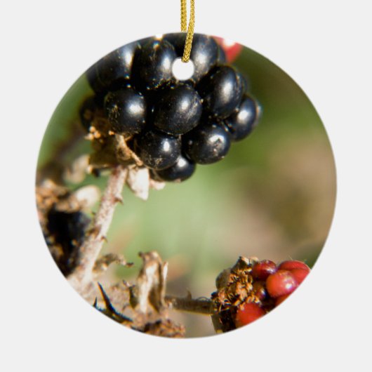 Herfstbessen Keramisch Ornament (Voorkant)