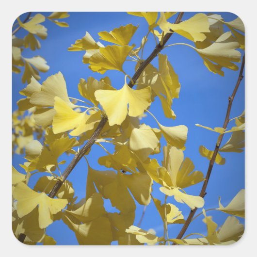 Herfstblaadjes Sticker (Voorkant)