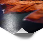 Herfstblad Fotovergroting Foto Afdruk (Hoek)