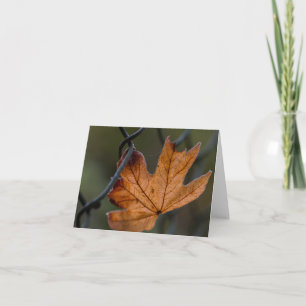 herfstblad gevouwen blanco Wenskaart Kaart