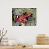 Herfstblad onder het water poster (Keuken)
