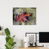 Herfstblad onder het water poster (Thuiskantoor)