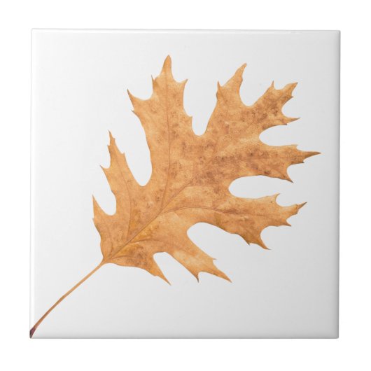 Herfstblad Tegeltje (Voorkant)