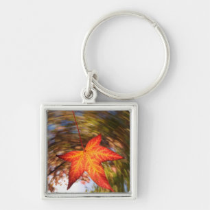 Herfstblad van een boom in de herfst sleutelhanger