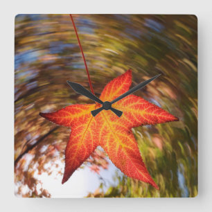 Herfstblad van een boom in de herfst vierkante klok