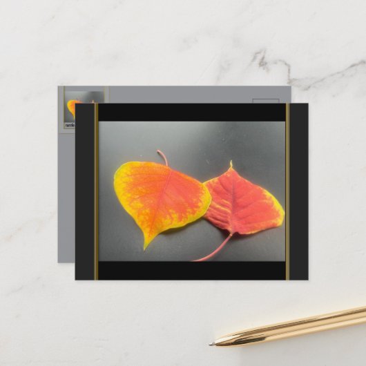 Herfstbladeren Ansichtkaart Briefkaart (Voorkant / Achterkant in situ)