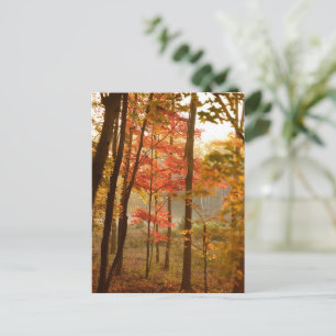 Herfstbladeren Bomen Feestdagenkaart