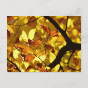 Herfstbladeren briefkaart gele mosterd