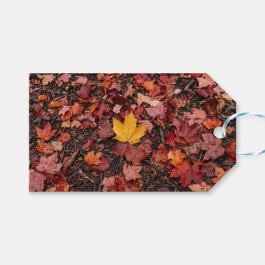 Herfstbladeren cadeaulabel (Voorkant (Horizontaal))