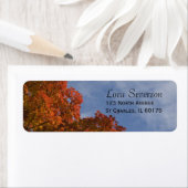 Herfstbladeren en Blue Sky Retouradreslabel Etiket (Insitu)