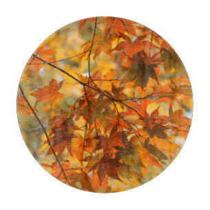Herfstbladeren Herfst bladeren Natuur Snijplank