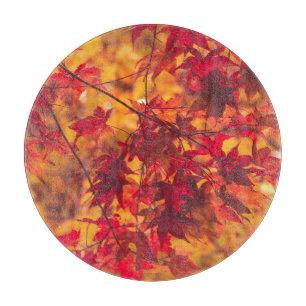 herfstbladeren Herfst bladeren rode Natuur Snijplank