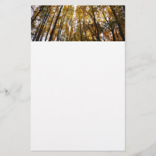 Herfstbladeren in de Morning Maryland Natuur Briefpapier