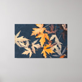 Herfstbladeren in het water canvas afdruk