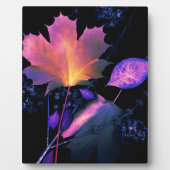 Herfstbladeren in Neon Fotoplaat (Voorkant)