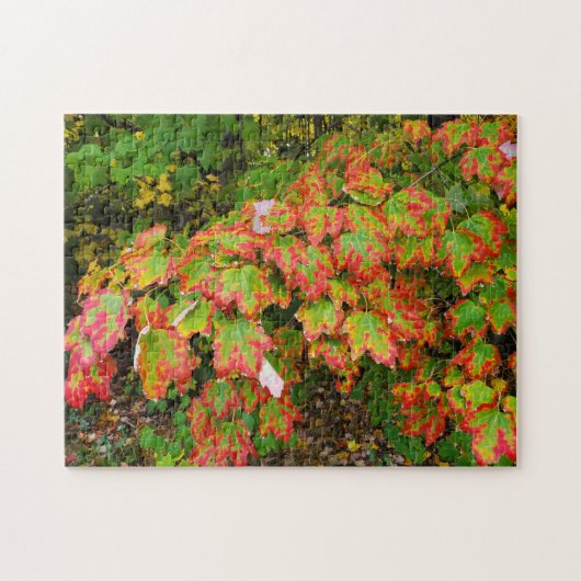Herfstbladeren Legpuzzel (Horizontaal)
