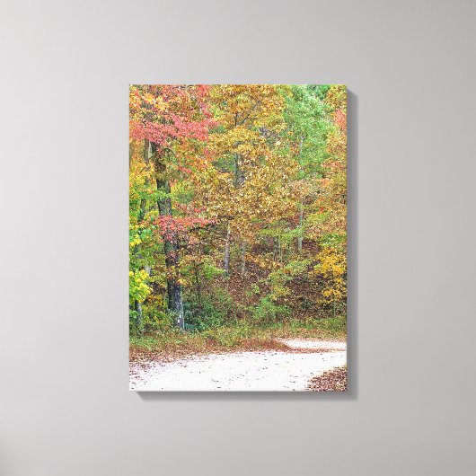 herfstbladeren Mountain Road Canvas Print (Voorkant)