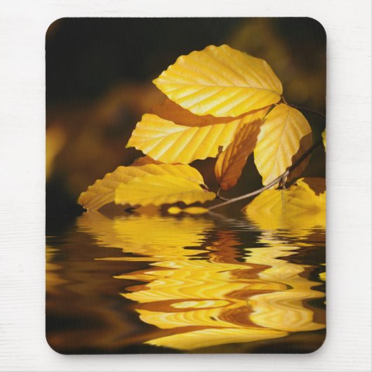 herfstbladeren muismat (Voorkant)