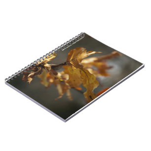 Herfstbladeren Notitieboek