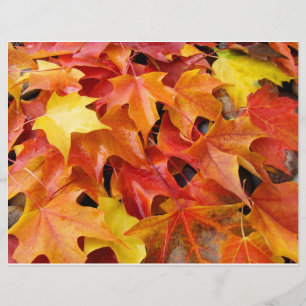 Herfstbladeren Oranje Geel Rood Flyer Papier