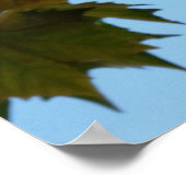 herfstbladeren poster (Hoek)