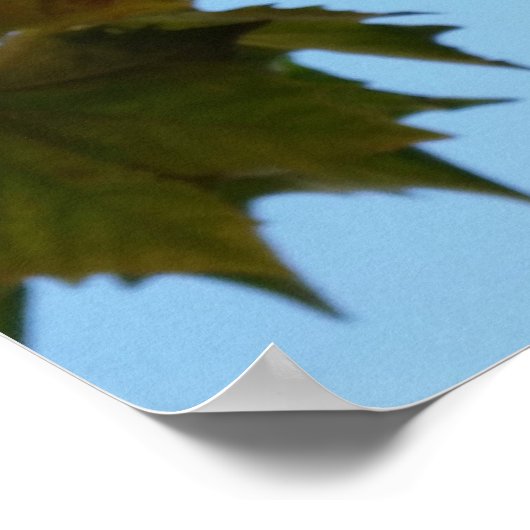 herfstbladeren poster (Hoek)