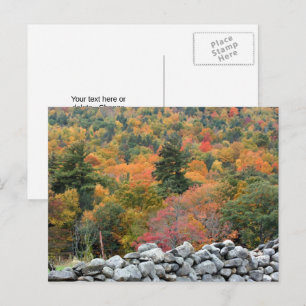 Herfstbladeren Stenen Muur Gepersonaliseerd Briefkaart